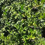 Lovely 2-bedroom With Free Parking & Wifi