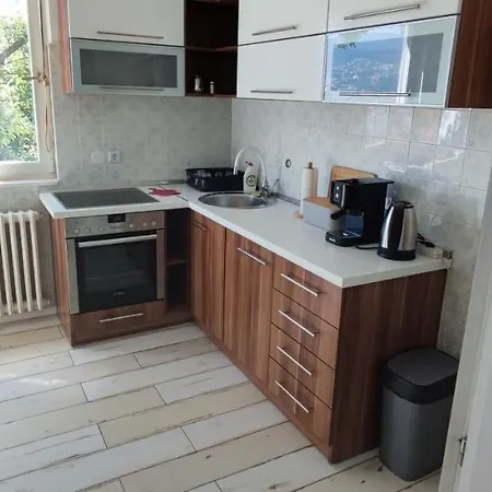 Lovely 2-bedroom Apt With Free Parking & Wifi Apartment *